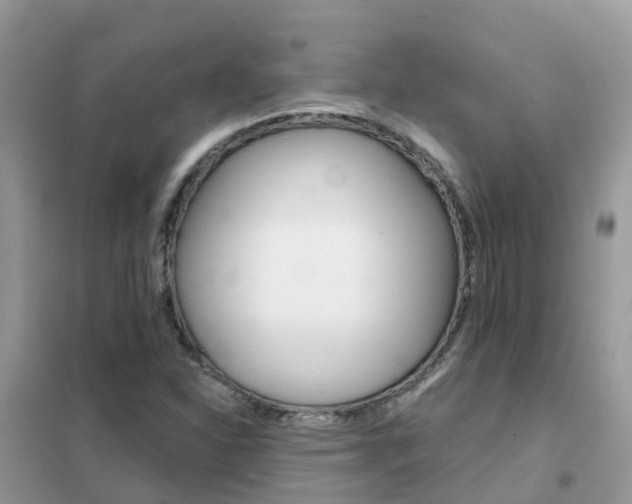 X0000102361310200808010950