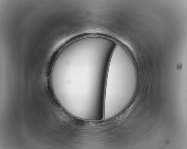 X0000102361311200808010950