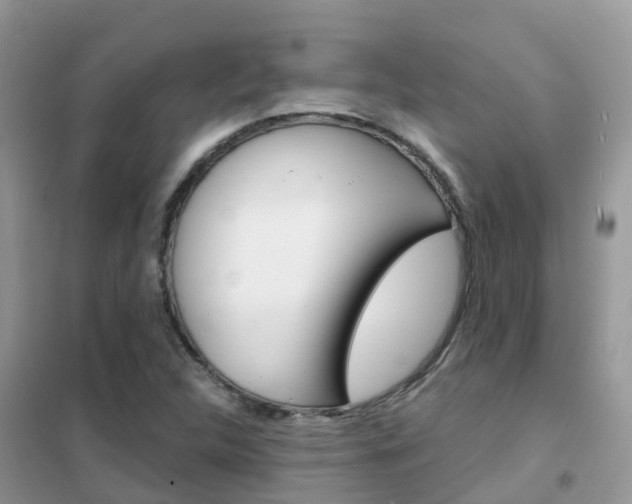 X0000102361312200808010950
