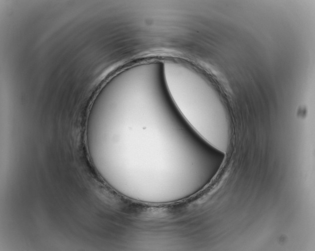 X0000102361313200808010950