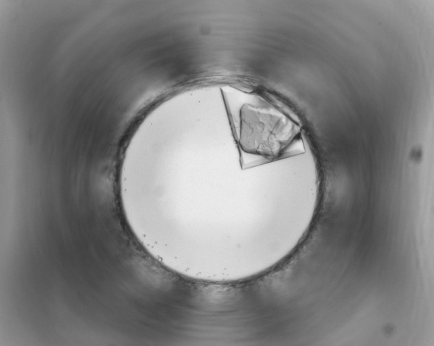 X0000102361314200808010950