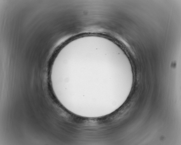 X0000102361315200808010950
