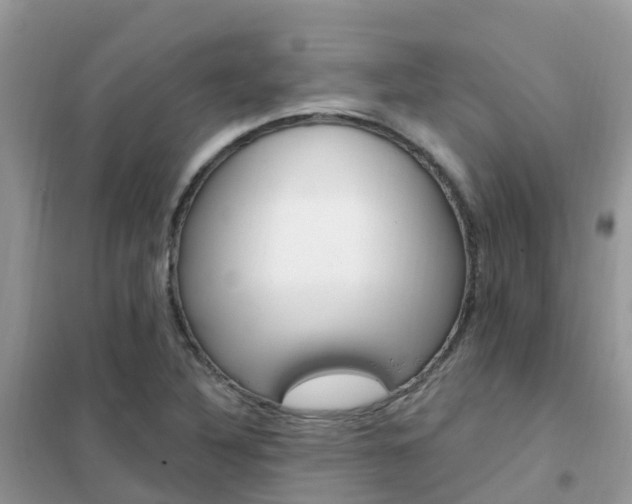 X0000102361316200808010950