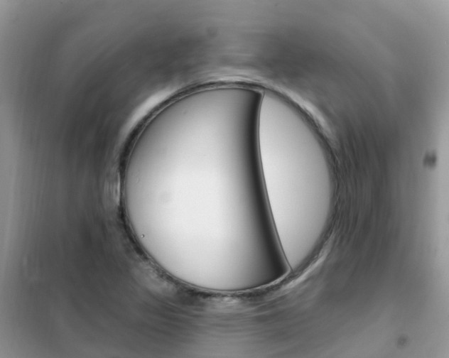 X0000102361317200808010950