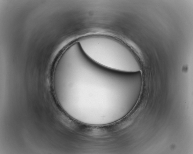 X0000102361318200808010950
