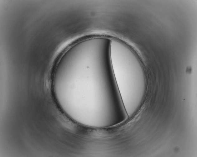 X0000102361319200808010950