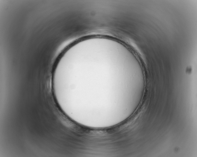 X0000102361320200808010950