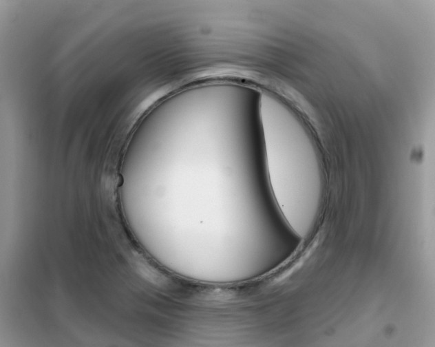 X0000102361321200808010950