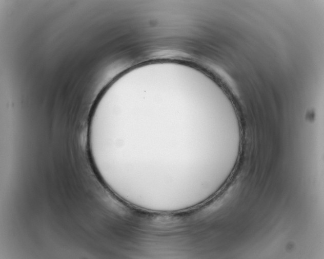 X0000102361322200808010950