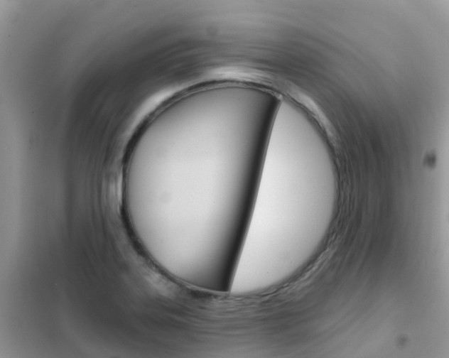 X0000102361323200808010950