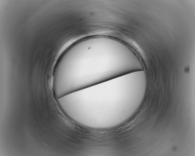 X0000102361324200808010950