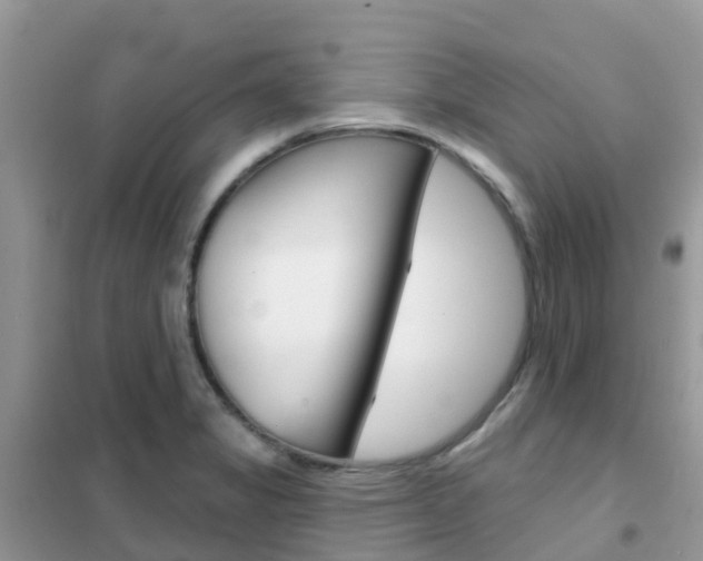 X0000102361325200808010950