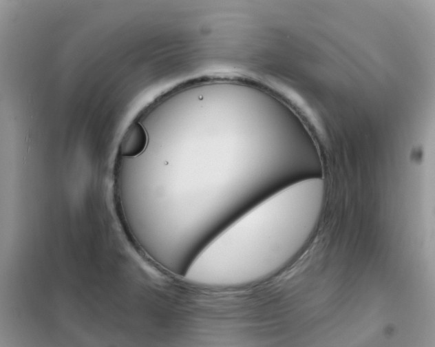 X0000102361327200808010950