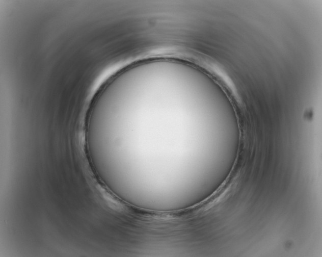 X0000102361328200808010950