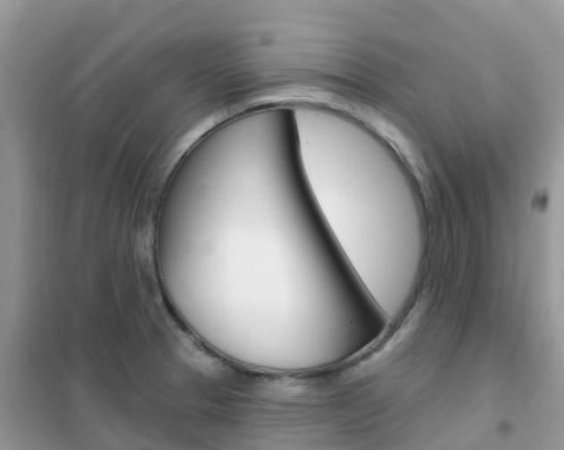 X0000102361329200808010950