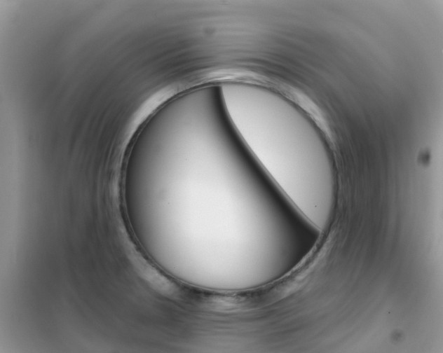 X0000102361330200808010950
