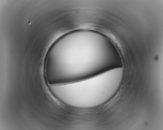 X0000102361331200808010950