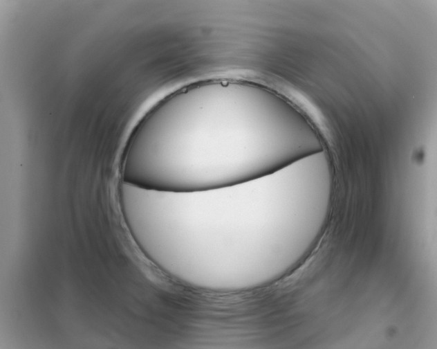 X0000102361332200808010950