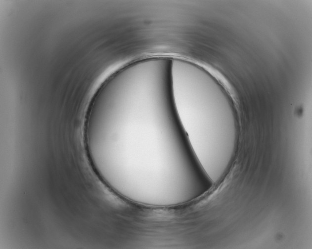 X0000102361333200808010950