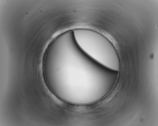 X0000102361334200808010950