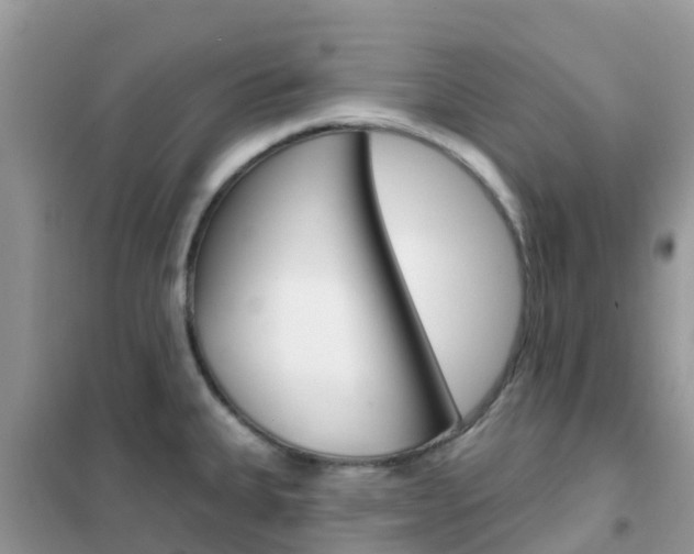 X0000102361335200808010950