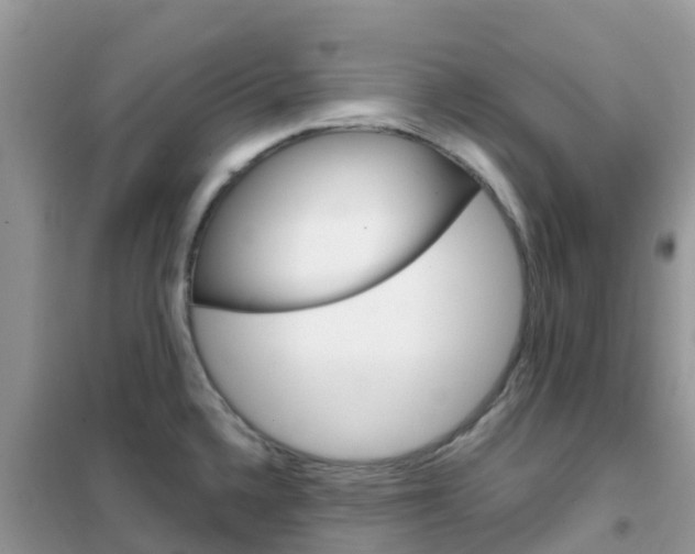 X0000102361336200808010950