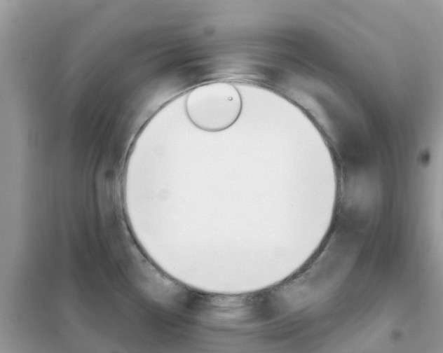 X0000102361338200808010950