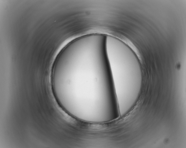 X0000102361339200808010950
