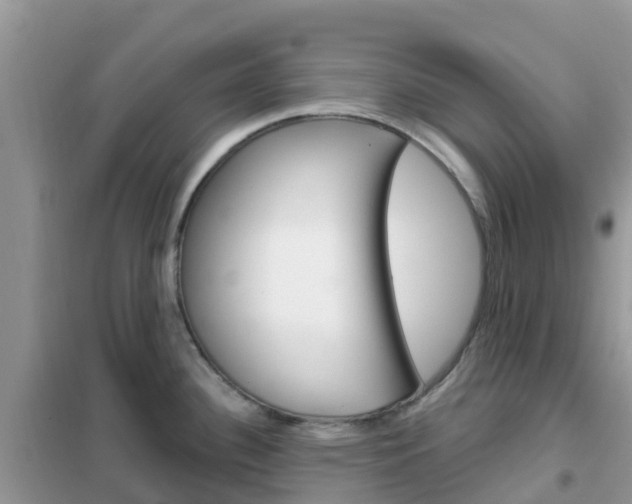 X0000102361340200808010950