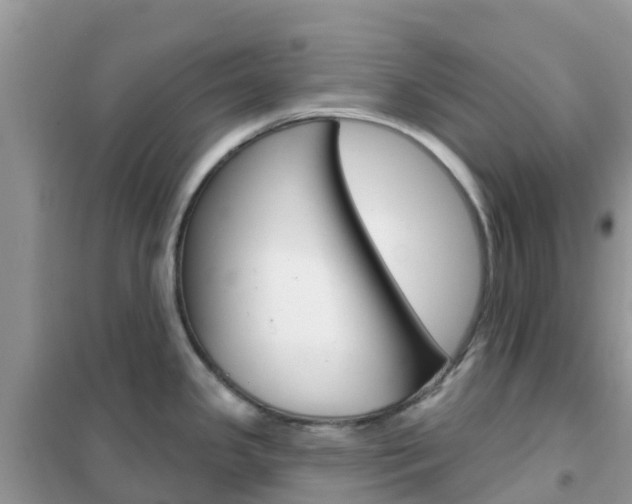 X0000102361341200808010950