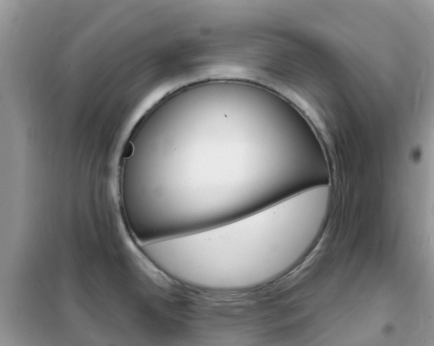 X0000102361342200808010950