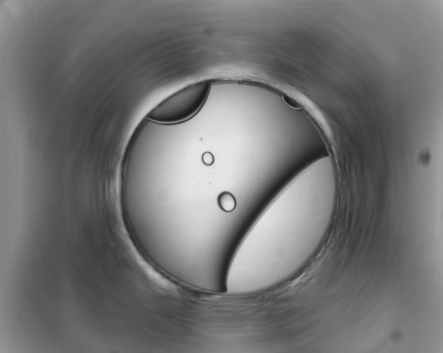 X0000102361343200808010950