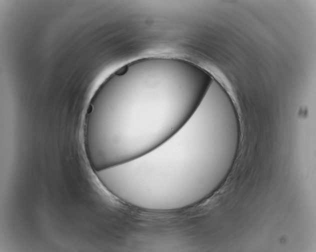 X0000102361344200808010950