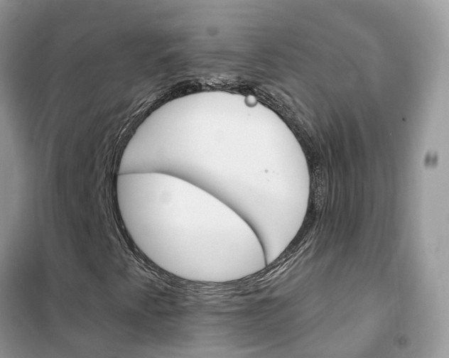 X0000102361345200808010949