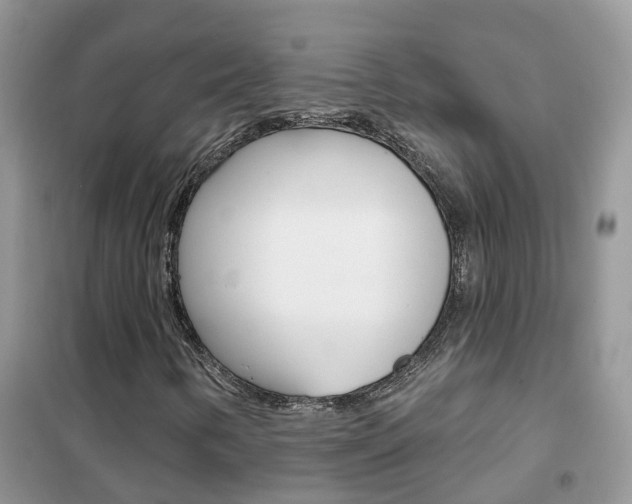X0000102361346200808010949