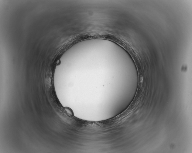 X0000102361348200808010949