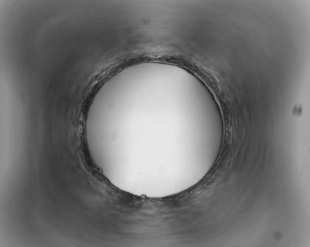 X0000102361349200808010949