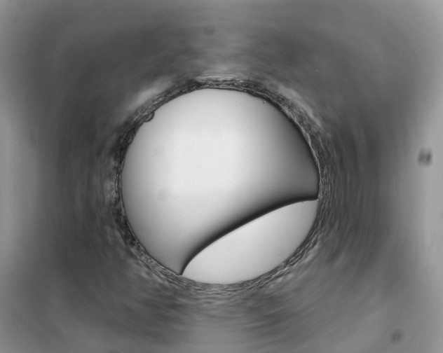 X0000102361350200808010949