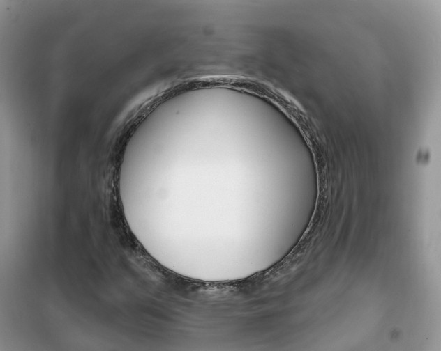 X0000102361351200808010949