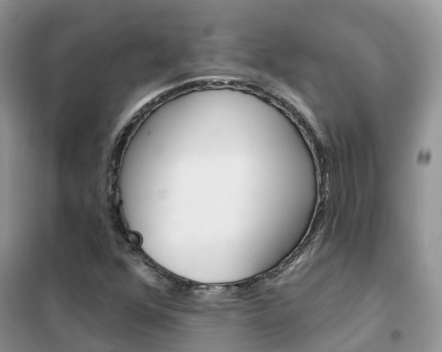 X0000102361352200808010949