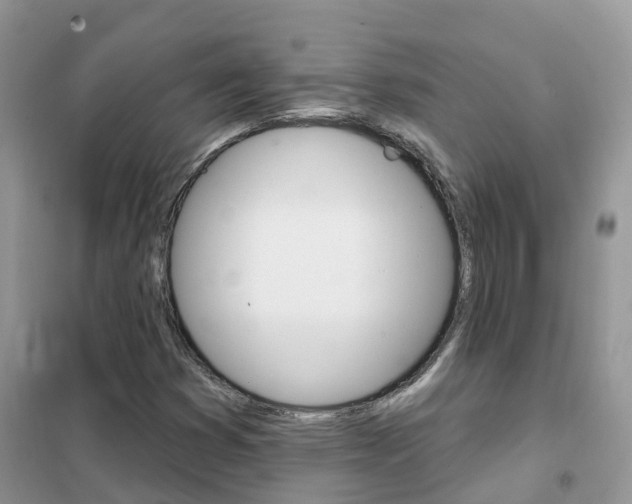 X0000102361353200808010949