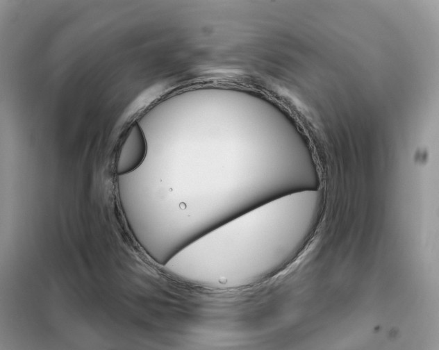 X0000102361354200808010949