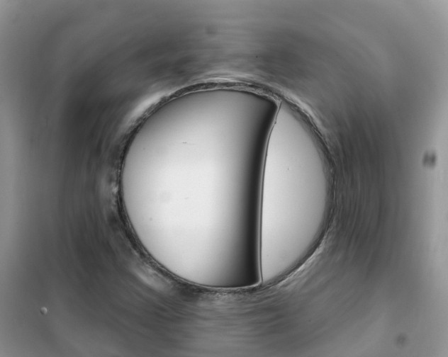 X0000102361355200808010949