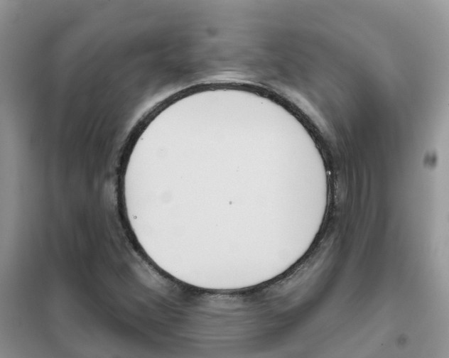 X0000102361356200808010949