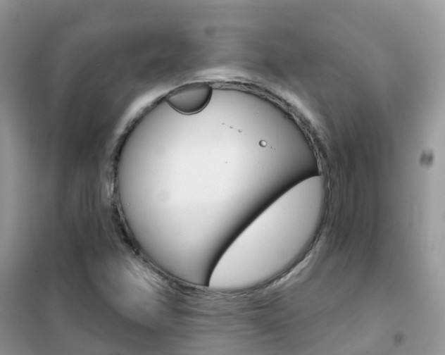 X0000102361358200808010949