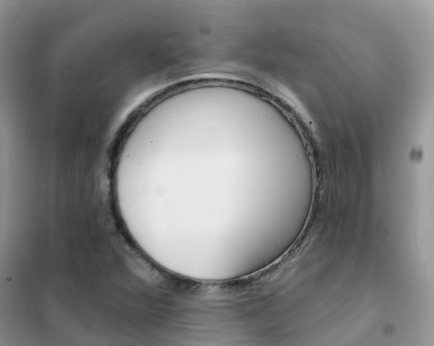 X0000102361360200808010949