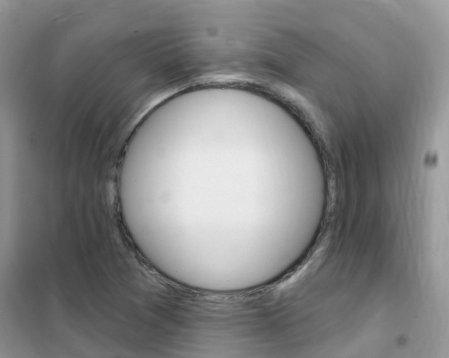 X0000102361361200808010949