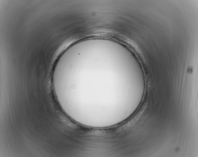 X0000102361362200808010949