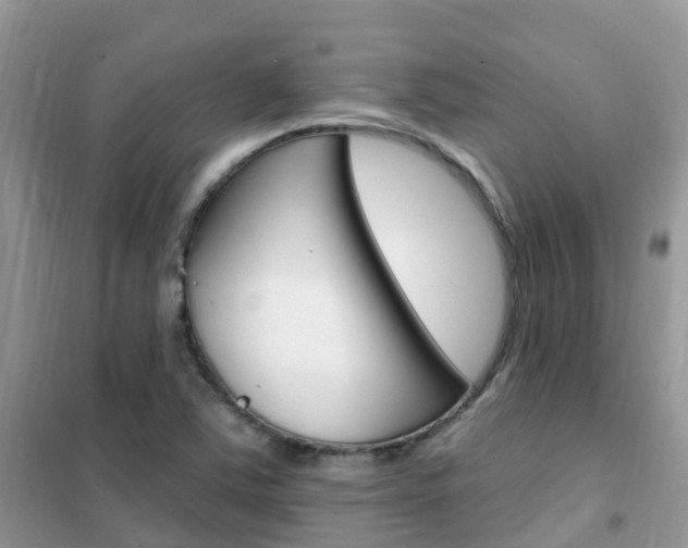 X0000102361363200808010949