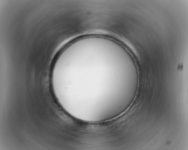 X0000102361364200808010949
